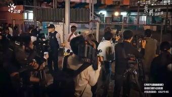 吃瓜群众网暴新闻集合,揭秘新闻集合背后的真相