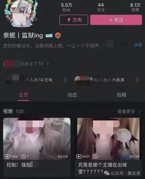 吃瓜网红视频公众号,揭秘吃瓜网红视频公众号的幕后故事