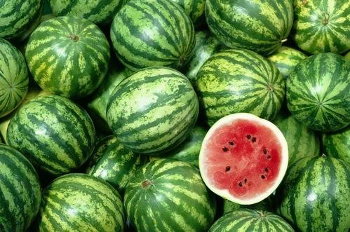 买瓜吃瓜事件网红视频,网红视频背后的网络现象解析