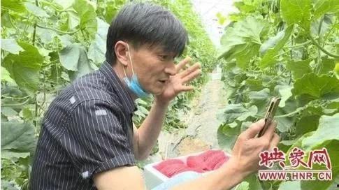 网红带货吃瓜搞笑视频,吃瓜搞笑视频盘点