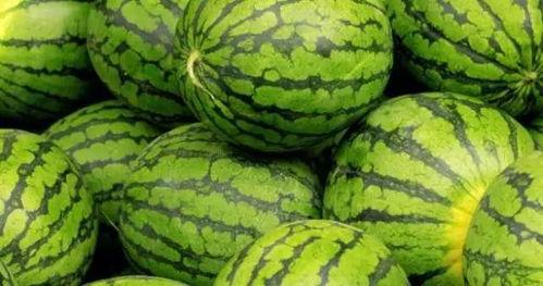 内蒙古网红吃瓜事件,揭秘网络舆论背后的真相