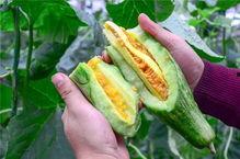 网红吃瓜 中国,揭秘网络热点背后的故事