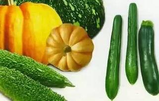 济宁网红吃瓜事件