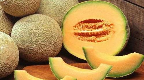 网红鹅吃哈密瓜是真的吗,真相揭秘