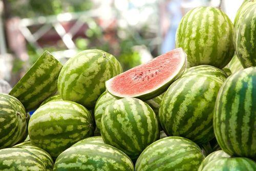 网红吃瓜游戏叫什么名字,揭秘网络红人间的趣味互动盛宴