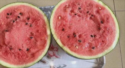 52吃瓜网为什么进不去,揭秘背后原因及解决方案