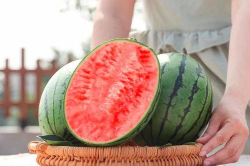 52吃瓜网为什么进不去,揭秘背后原因及解决方案