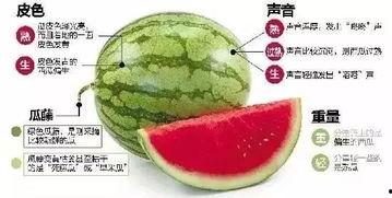 临沧网红吃瓜群微信,揭秘网络社交圈的趣味与争议