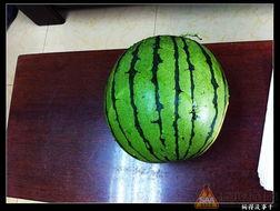 52吃瓜官网,揭秘娱乐圈最新热点，带你畅游八卦海洋