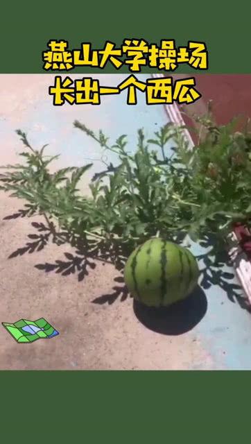 燕山大学吃瓜网盘,揭秘校园生活趣味瞬间