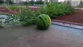 燕山大学吃瓜网盘,揭秘校园生活趣味瞬间