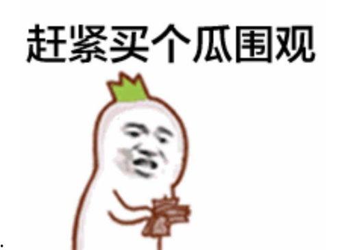 网红吃瓜表情包是谁,揭秘其背后的创作故事