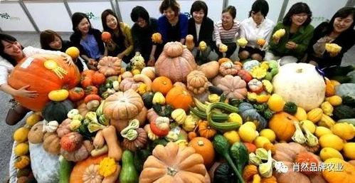 网红爆料吃瓜法院,法院审理背后真相揭秘！”