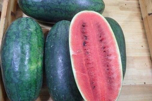 黑制吃瓜网,网络舆论场的新势力崛起