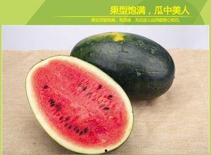 黑制吃瓜网,网络舆论场的新势力崛起