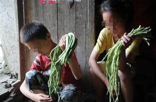 江西姐弟网红吃瓜视频,揭秘网络红人背后的故事