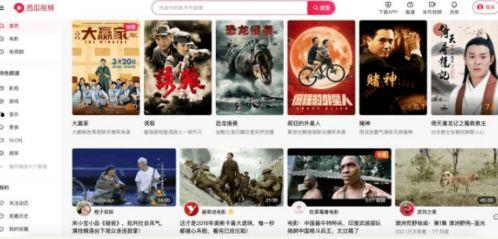 吃瓜网搜什么最好看视频,这些精彩内容不容错过！