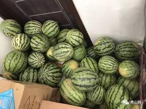 用校园网看了吃瓜群,网络社交的另类风景