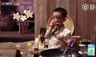 吃瓜网杨爸,吃瓜网幕后推手，揭秘网络舆论风向标