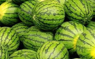 吃瓜网每日大赛最新内容,精彩瞬间回顾，谁将脱颖而出？