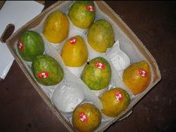 吃瓜台湾网红,揭秘娱乐圈幕后真相