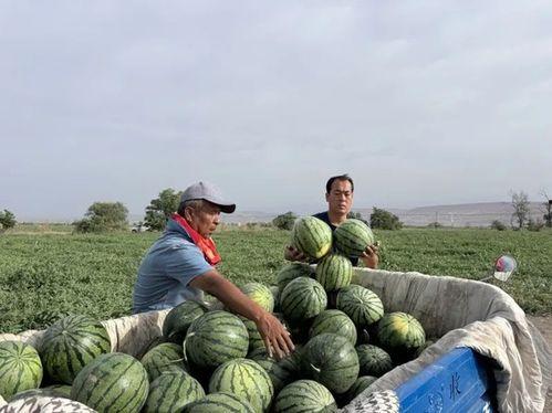 永年网红吃瓜是谁啊图片,探寻网络红人的真实身份