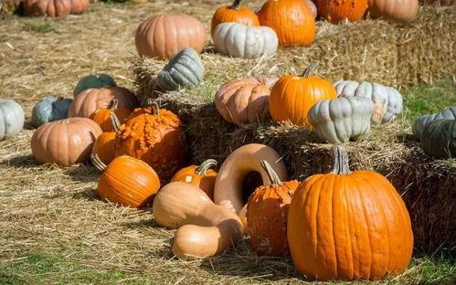 永年网红吃瓜是谁啊图片,探寻网络红人的真实身份