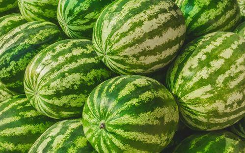 万科吃瓜大赛官网,一场全民参与的夏日狂欢盛宴