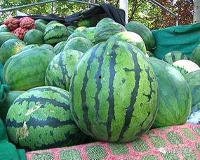 有个好看的吃瓜网