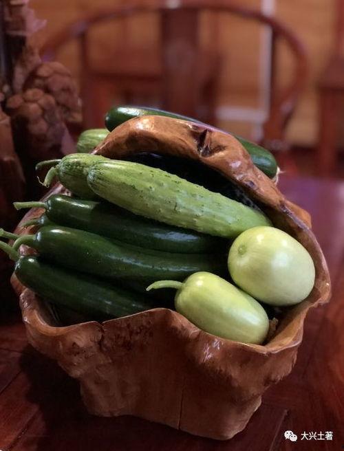 澄海网红吃瓜,揭秘幕后故事与热门话题