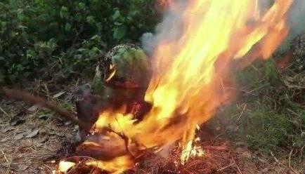 暗黑在线吃瓜资源网,揭秘网络暗流涌动的秘密世界