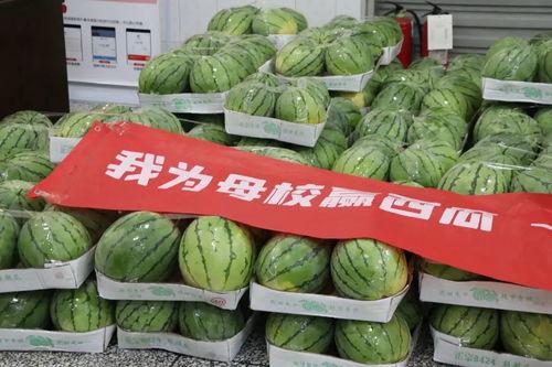 吃瓜网官网安全吗,安全可靠，畅享网络娱乐新体验