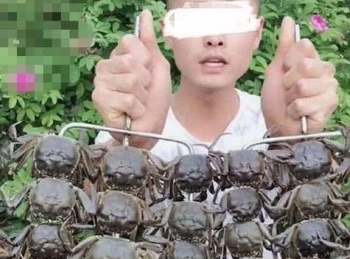 荷兰网红吃瓜事件真相视频,揭秘背后真相与网络舆论风暴