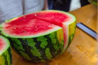 大学吃瓜网红,揭秘大学吃瓜网红的崛起之路