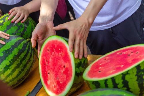 大学吃瓜网红,揭秘大学吃瓜网红的崛起之路