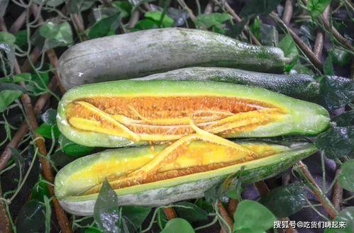 网红吃瓜软,揭秘娱乐圈幕后真相，带你领略明星生活点滴