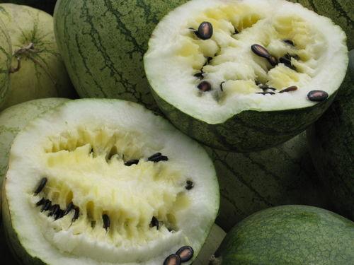 邳州网红吃小瓜事件始末,一场网络争议的发酵与反思