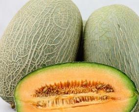 吃各种网红哈密瓜的好处,美味与健康双重享受的甜蜜秘诀
