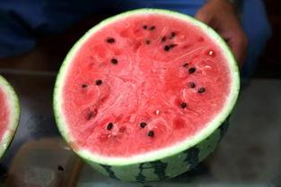 吃瓜系列雪圈网红,揭秘雪场上的“瓜王”传奇